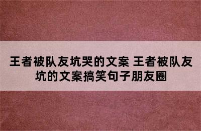 王者被队友坑哭的文案 王者被队友坑的文案搞笑句子朋友圈